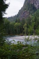 Bärengebiet Orford Bay 5