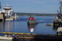 Optionaler Ausflug Ba¨renbeobachtung und Whale Watching 2