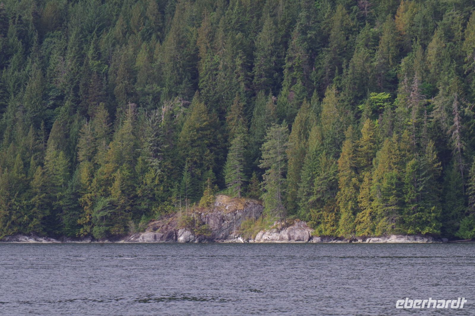 Überfahrt zum Bärengebiet 3