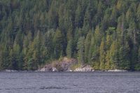 Überfahrt zum Bärengebiet 3