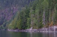 Überfahrt zum Bärengebiet 7