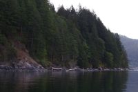 Unberührte Natur Discovery Islands