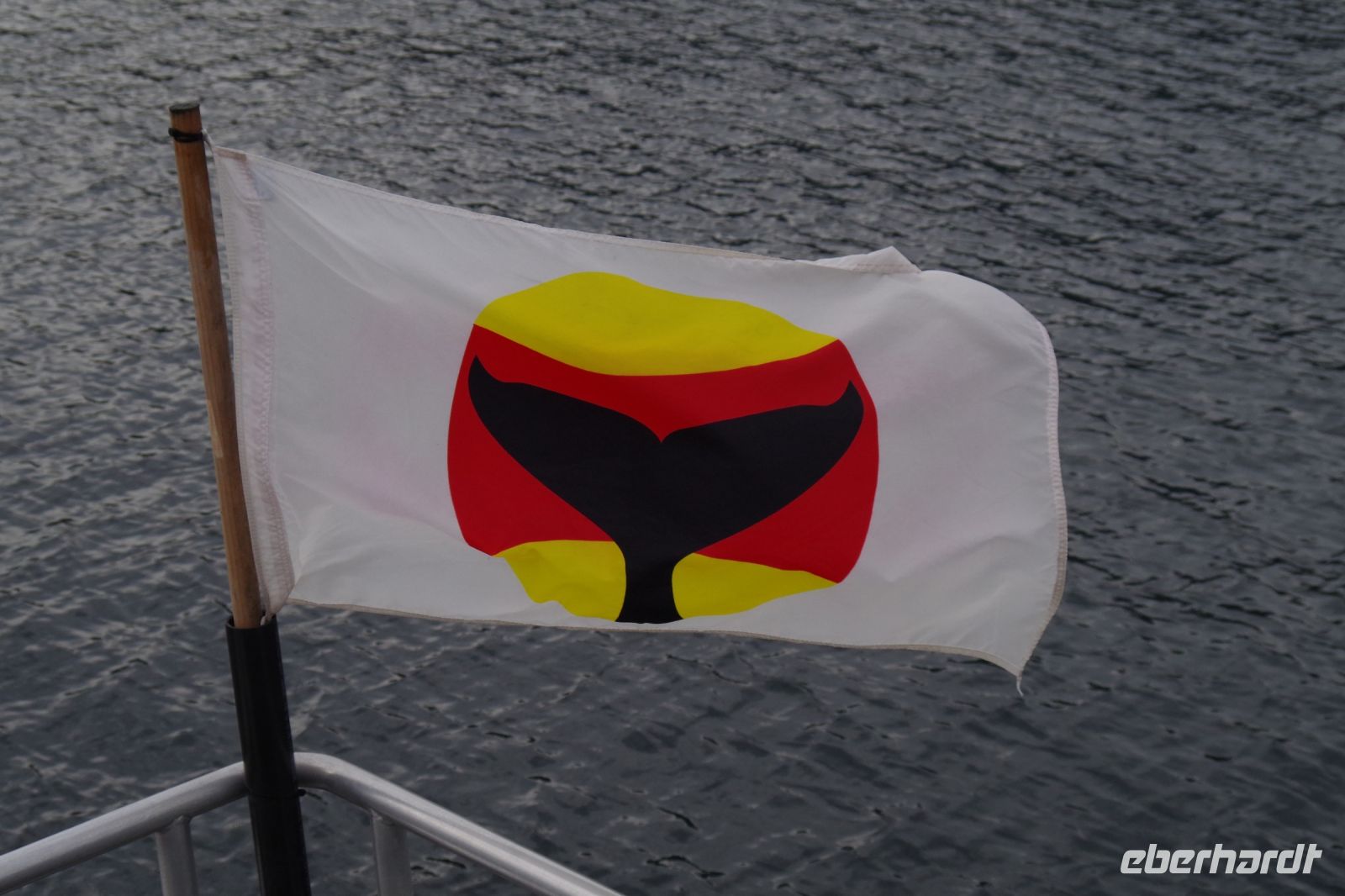 Whale Watching Flagge