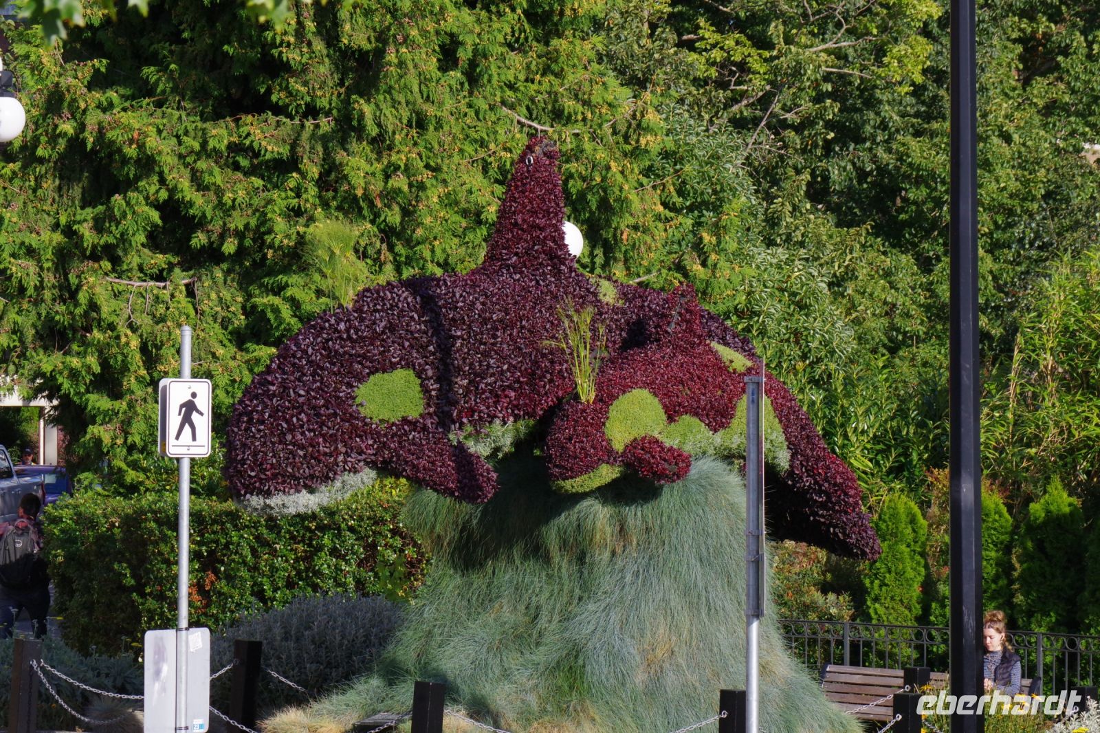 2 Orcas aus Pflanzen, Victoria