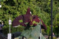 2 Orcas aus Pflanzen, Victoria