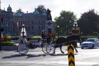 Pferdekutsche vor dem Parlament, Victoria