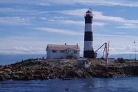 Seelöwenkolonie beim Whalewatching nahe Victoria 2