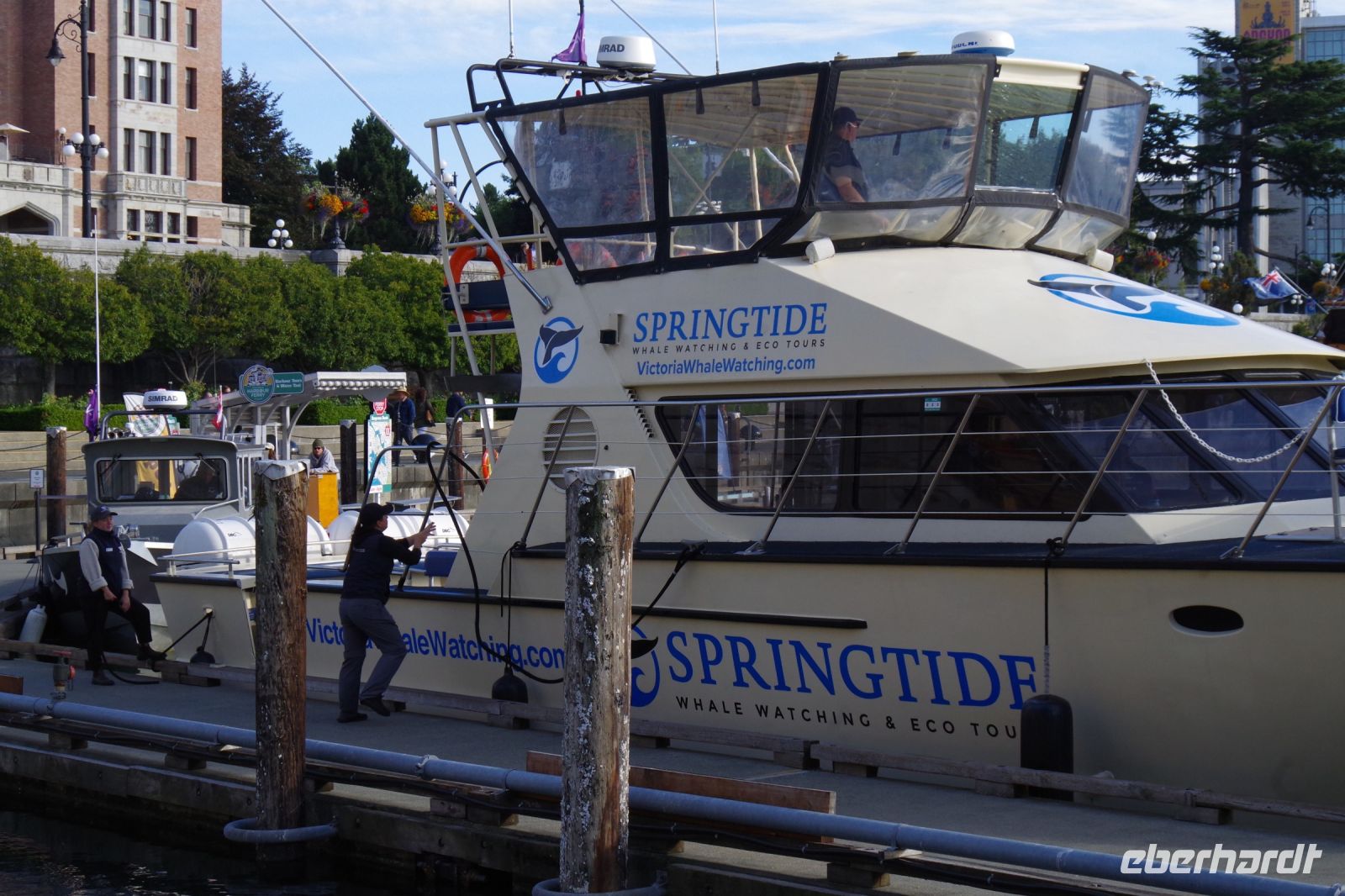 Walbeobachtung bei Victoria