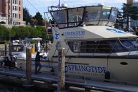 Walbeobachtung bei Victoria