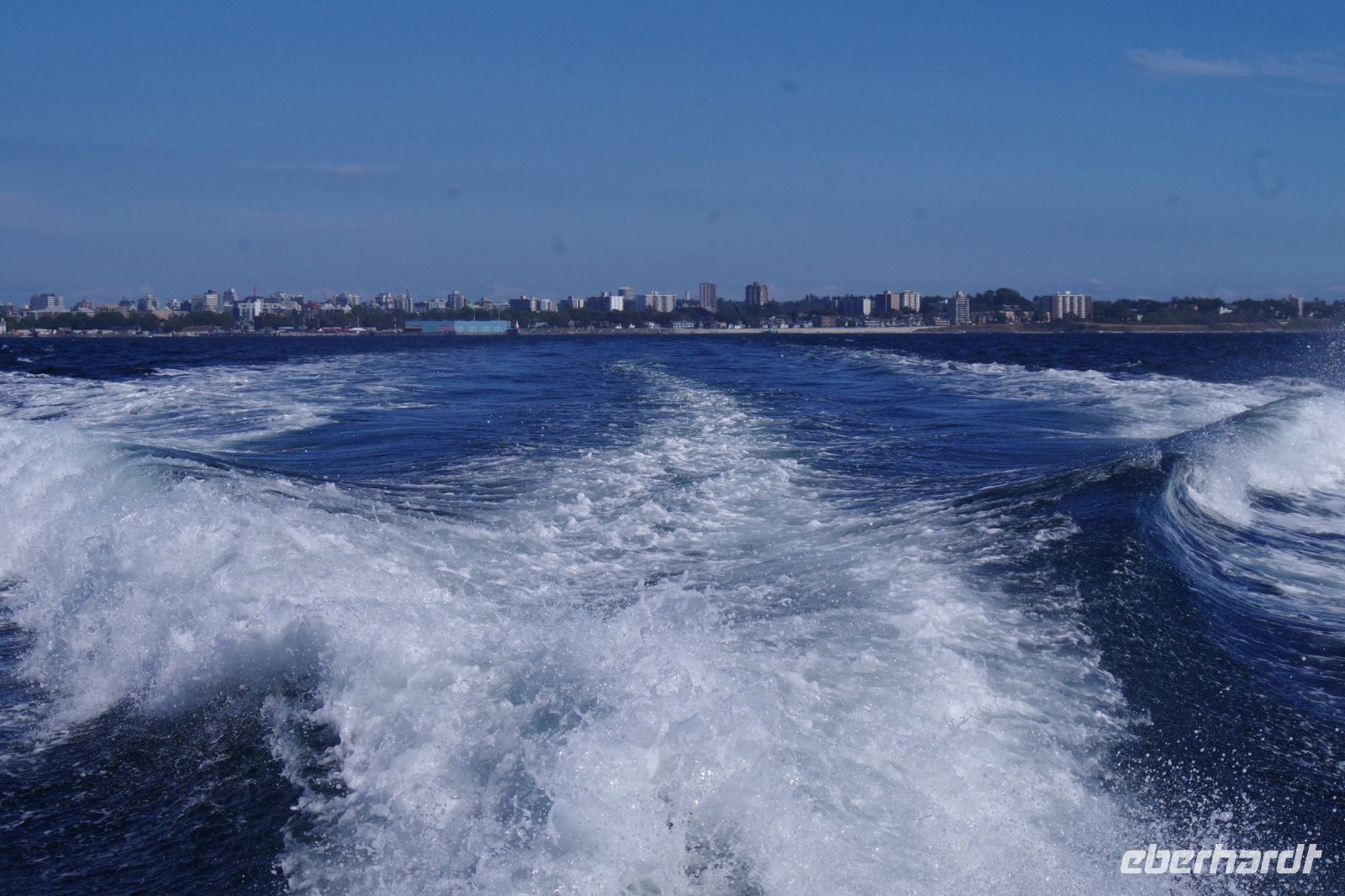 Walbeobachtung, Victoria.JPG