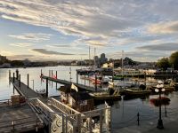 16. Reisetag – Von Tofino nach Victoria – Abendstimmung am Inner Harbour in Victoria