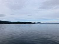 17. Reisetag – Von Victoria nach Vancouver – Fährüberfahrt nach Vancouver