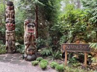 18. Reisetag – Ausflug nach North Vancouver & Aquarium – Capilano Suspension Bridge Park