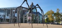 84 Spinne vor Kunstmuseum