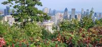 123 Ausblick vom Mont Royal auf Montreal