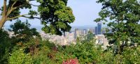 124 Ausblick vom Mont Royal auf Montreal
