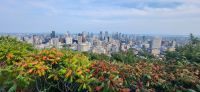 125 Ausblick vom Mont Royal auf Montreal