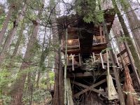 18. Reisetag – Ausflug nach North Vancouver & Aquarium – Capilano Suspension Bridge Park