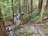 18. Reisetag – Ausflug nach North Vancouver & Aquarium – Capilano Suspension Bridge Park