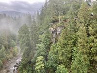 18. Reisetag – Ausflug nach North Vancouver & Aquarium – Capilano Suspension Bridge