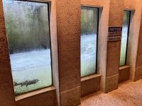 18. Reisetag – Ausflug nach North Vancouver & Aquarium – Lachsaufzuchtstation „Capilano River Hatchery“