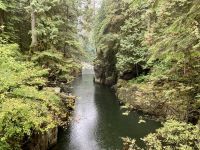 18. Reisetag – Ausflug nach North Vancouver & Aquarium – Spaziergang am Capilano River