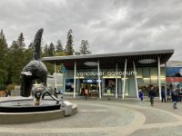 18. Reisetag – Ausflug nach North Vancouver & Aquarium – Vancouver Aquarium