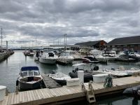 6. Reisetag – Stadtrundfahrt in Toronto – Spaziergang zur Harbourfront