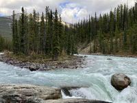 11. Reisetag – Ausflug im Jasper-Nationalpark – Spaziergang zu den Sunwapta Falls