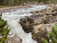11. Reisetag – Ausflug im Jasper-Nationalpark – Spaziergang zu den Sunwapta Falls