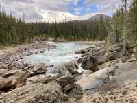 11. Reisetag – Ausflug im Jasper-Nationalpark – Spaziergang zu den Sunwapta Falls