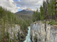 11. Reisetag – Ausflug im Jasper-Nationalpark – Spaziergang zu den Sunwapta Falls