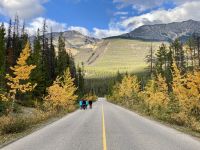 11. Reisetag – Ausflug im Jasper-Nationalpark – Spaziergang zu den Sunwapta Falls