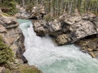 11. Reisetag – Ausflug im Jasper-Nationalpark – Spaziergang zu den Sunwapta Falls