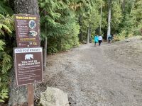 12. Reisetag – Von Jasper nach Kamloops – Wells Gray Provincial Park – Spaziergang zu den Spahat Falls