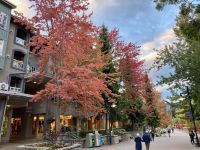 13. Reisetag – Von Kamloops nach Whistler – Abendspaziergang durch Whistler