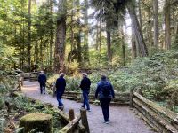14. Reisetag – Von Whistler nach Tofino – Spaziergang durch den Cathedral Cove im MacMillan Provincial Park