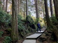 15. Reisetag – Tofino & Pacific Rim National Park – Spaziergang zum Tonquin Beach