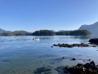 15. Reisetag – Tofino & Pacific Rim National Park – Morgenstimmung in Tofino am Clayoquot Sound