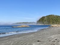 15. Reisetag – Tofino & Pacific Rim National Park – Spaziergang zum Tonquin Beach