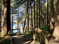 15. Reisetag – Tofino & Pacific Rim National Park – Spaziergang zum Tonquin Beach
