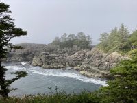 15. Reisetag – Tofino & Pacific Rim National Park – Spaziergang auf dem Ucluelet Lighthouse Loop