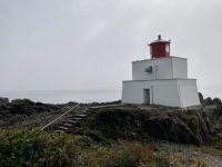 15. Reisetag – Tofino & Pacific Rim National Park – Spaziergang auf dem Ucluelet Lighthouse Loop