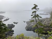 15. Reisetag – Tofino & Pacific Rim National Park – Spaziergang auf dem Ucluelet Lighthouse Loop