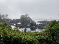 15. Reisetag – Tofino & Pacific Rim National Park – Spaziergang auf dem Ucluelet Lighthouse Loop
