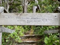 15. Reisetag – Tofino & Pacific Rim National Park – Spaziergang auf dem Ucluelet Lighthouse Loop