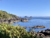 15. Reisetag – Tofino & Pacific Rim National Park – Spaziergang auf dem Ucluelet Lighthouse Loop