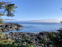15. Reisetag – Tofino & Pacific Rim National Park – Spaziergang auf dem Ucluelet Lighthouse Loop