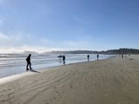 15. Reisetag – Tofino & Pacific Rim National Park – Aufenthalt am Long Beach