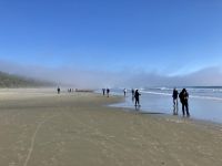 15. Reisetag – Tofino & Pacific Rim National Park – Aufenthalt am Long Beach